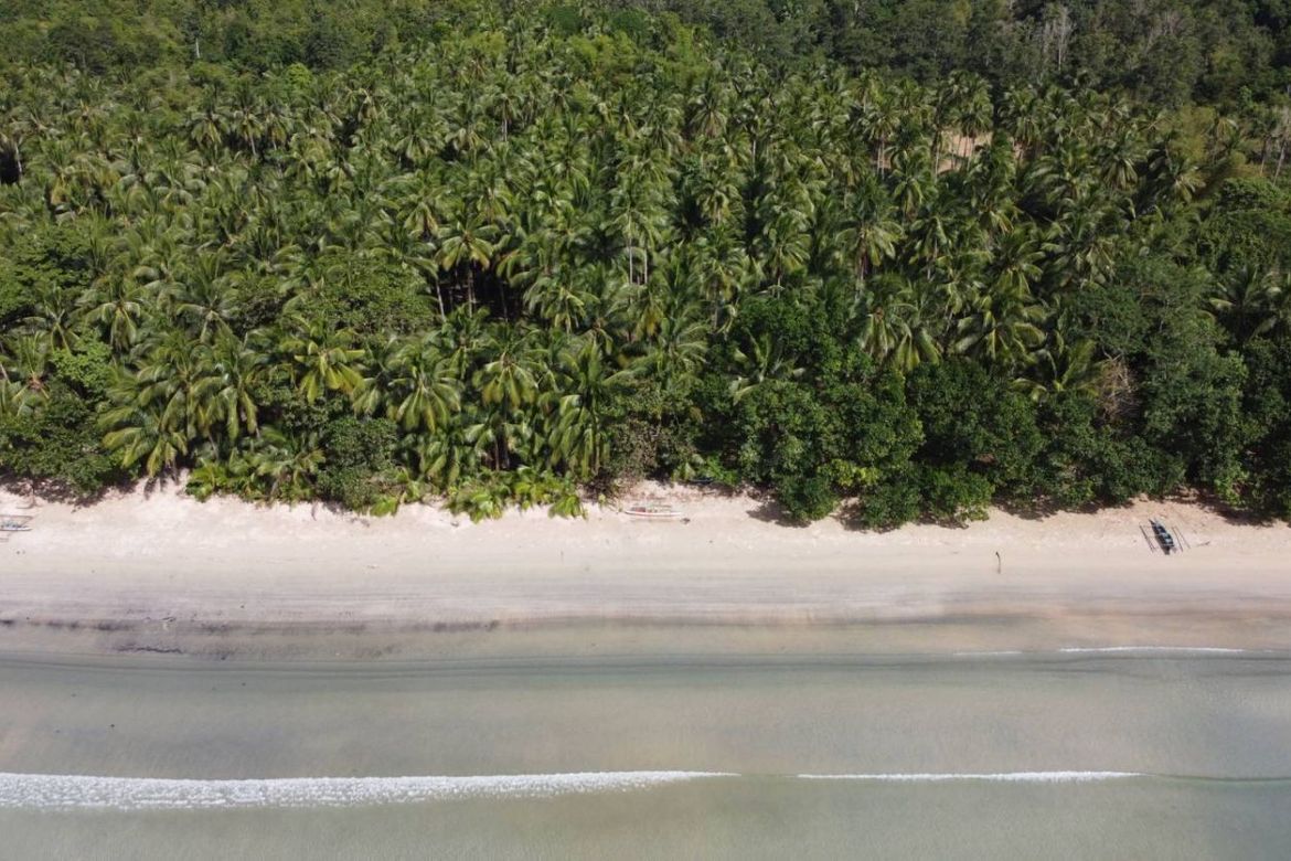 Land for Sale in Poblacion, San Vicente, Palawan – photo 8