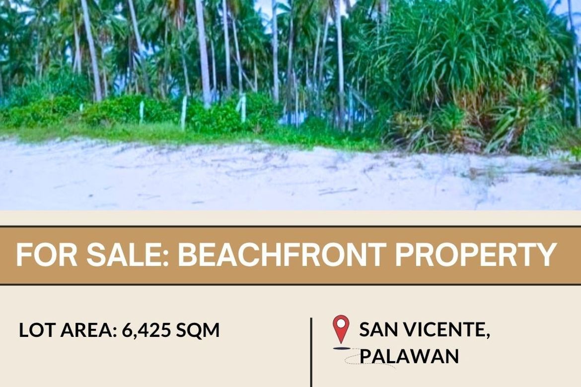 Land for Sale in Poblacion, San Vicente, Palawan