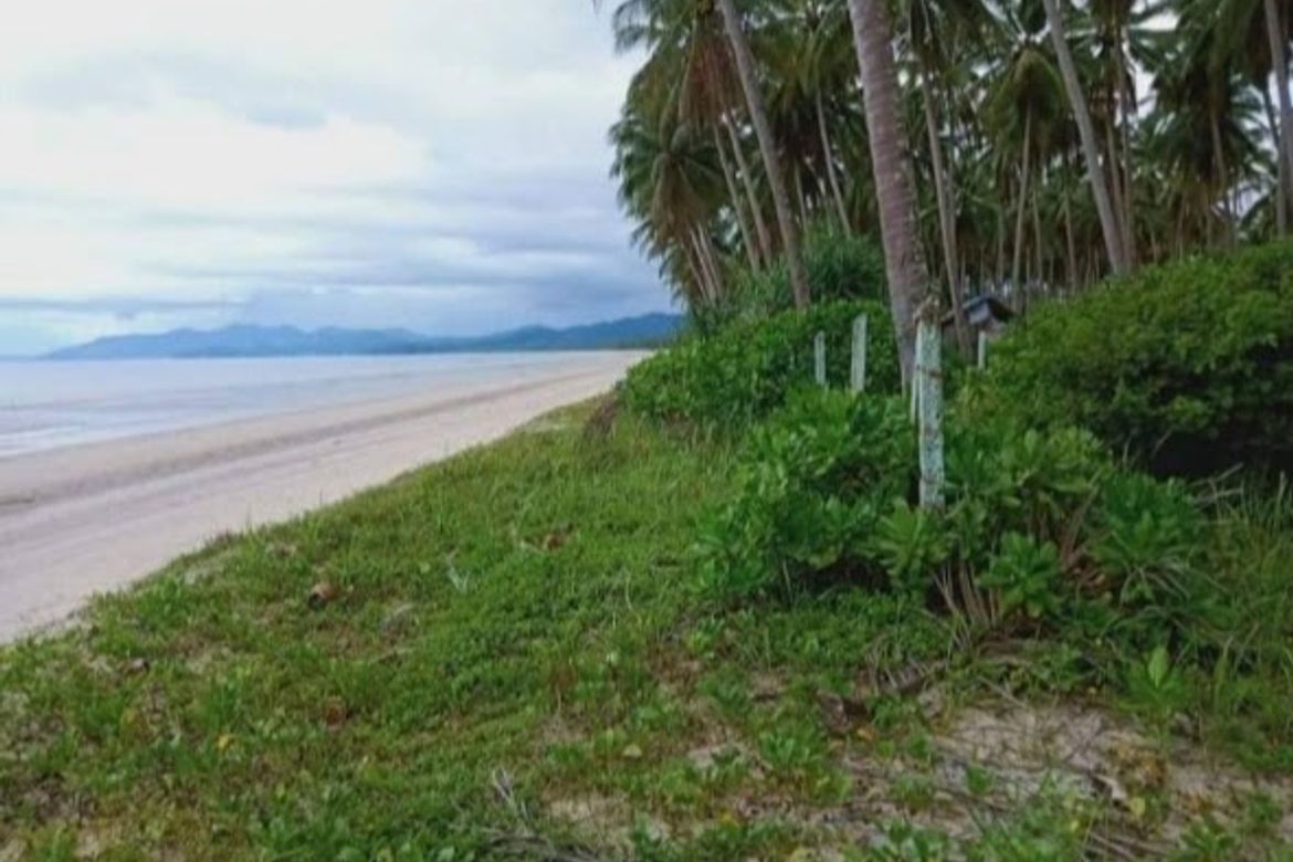 Land for Sale in Poblacion, San Vicente, Palawan – photo 2
