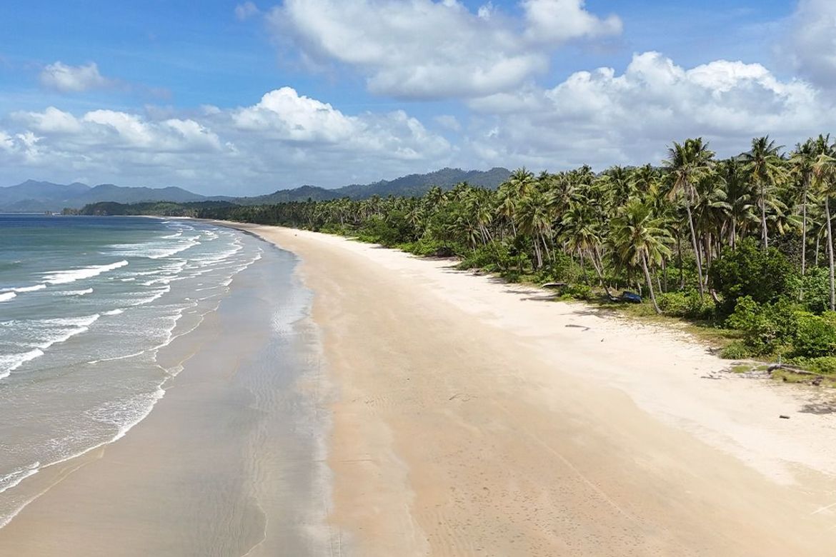Land for Sale in Poblacion, San Vicente, Palawan – photo 4