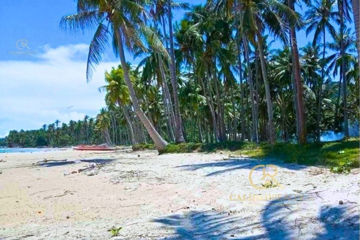 Land for Sale in Poblacion, San Vicente, Palawan