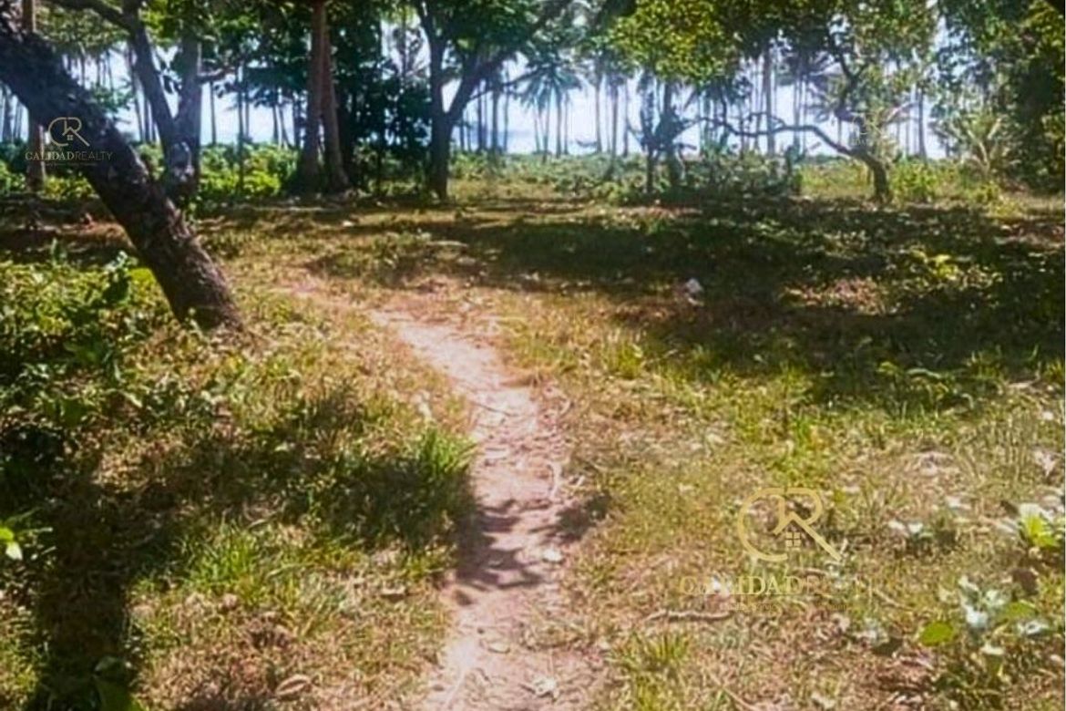 Land for Sale in Poblacion, San Vicente, Palawan – photo 2