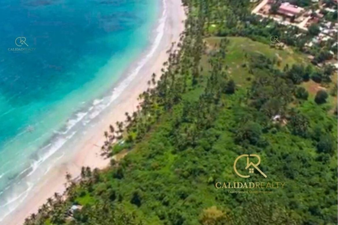 Land for Sale in Poblacion, San Vicente, Palawan – photo 3