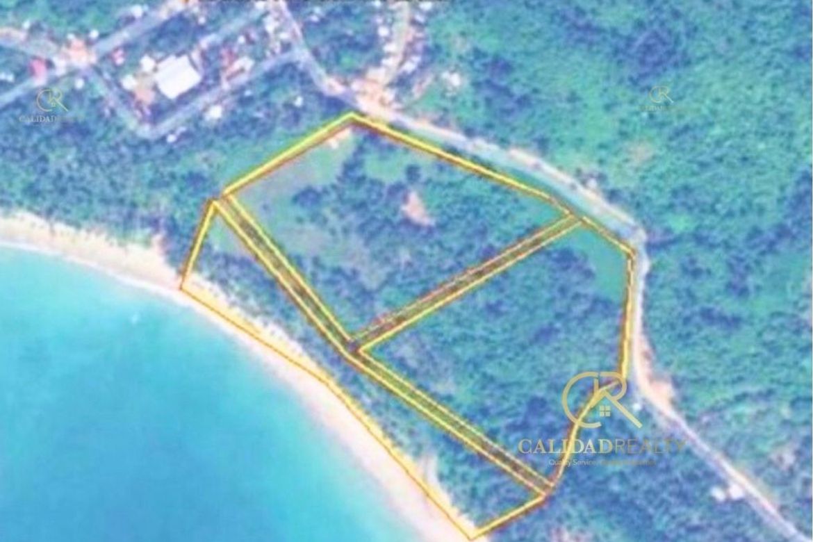 Land for Sale in Poblacion, San Vicente, Palawan – photo 4