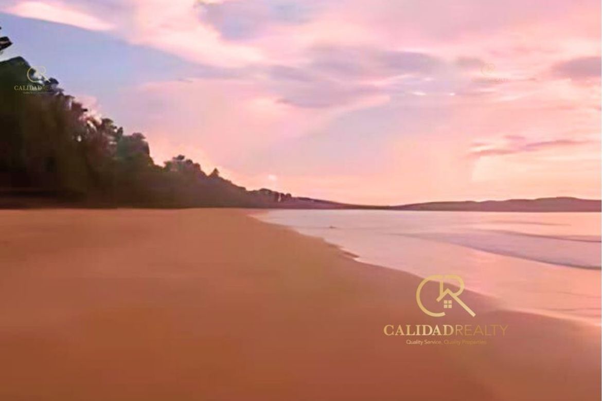 Land for Sale in Poblacion, San Vicente, Palawan – photo 3
