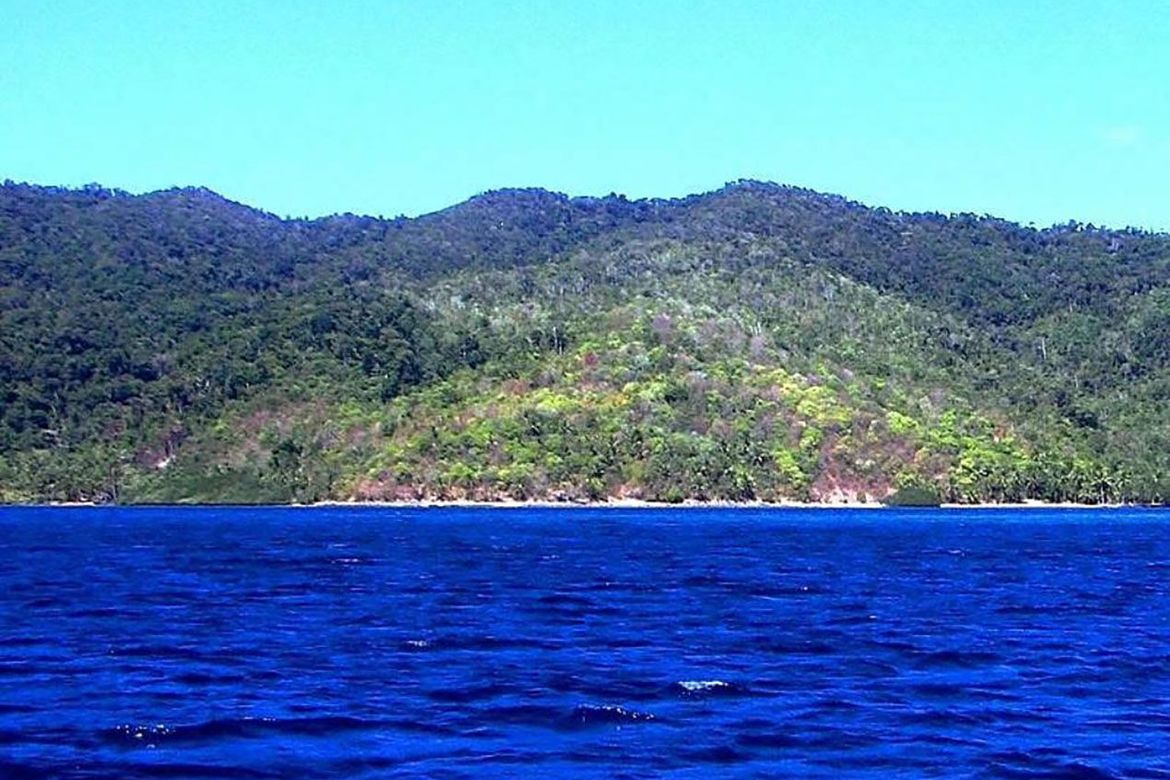 Land for Sale in Poblacion, San Vicente, Palawan – photo 2