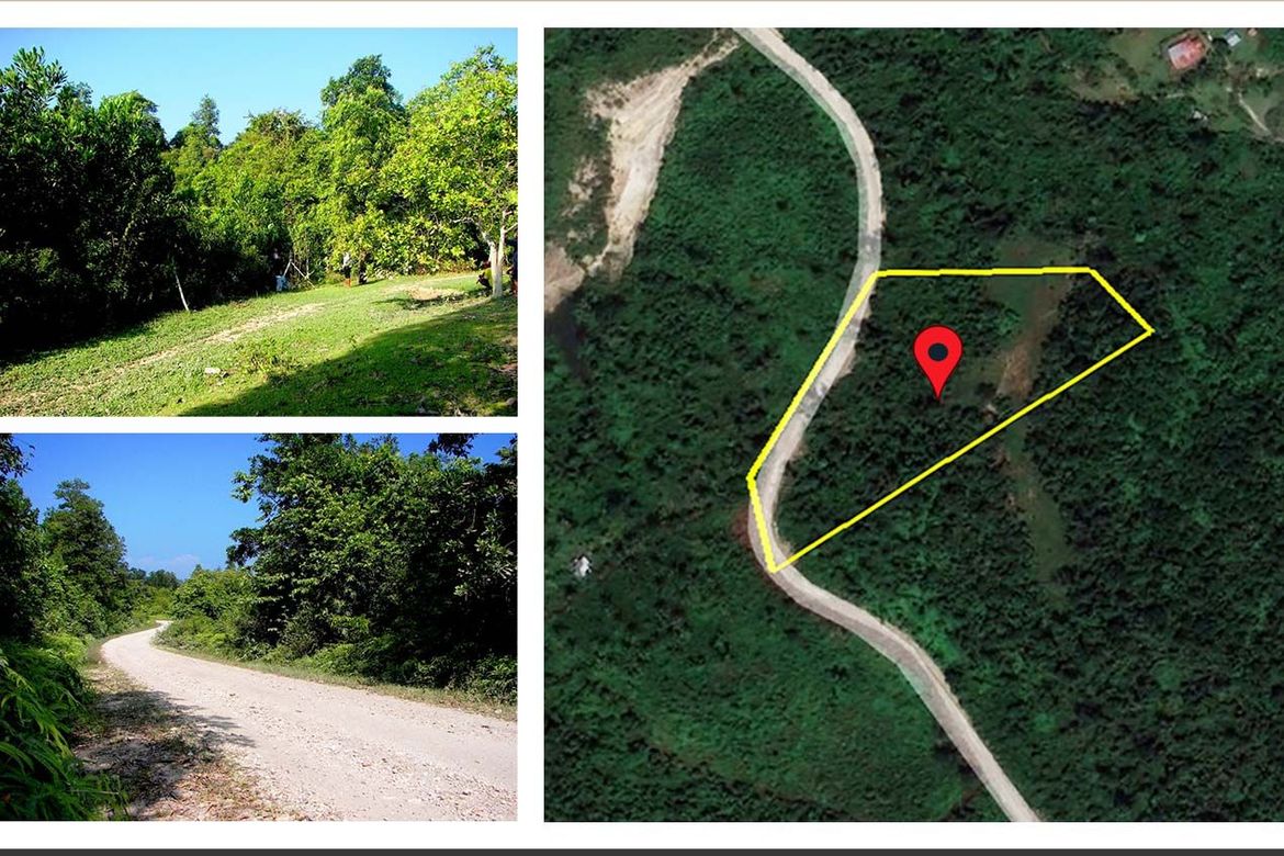 Land for Sale in Poblacion, San Vicente, Palawan