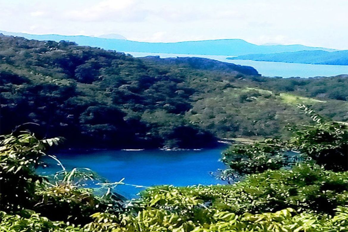 Land for Sale in Poblacion, San Vicente, Palawan – photo 5