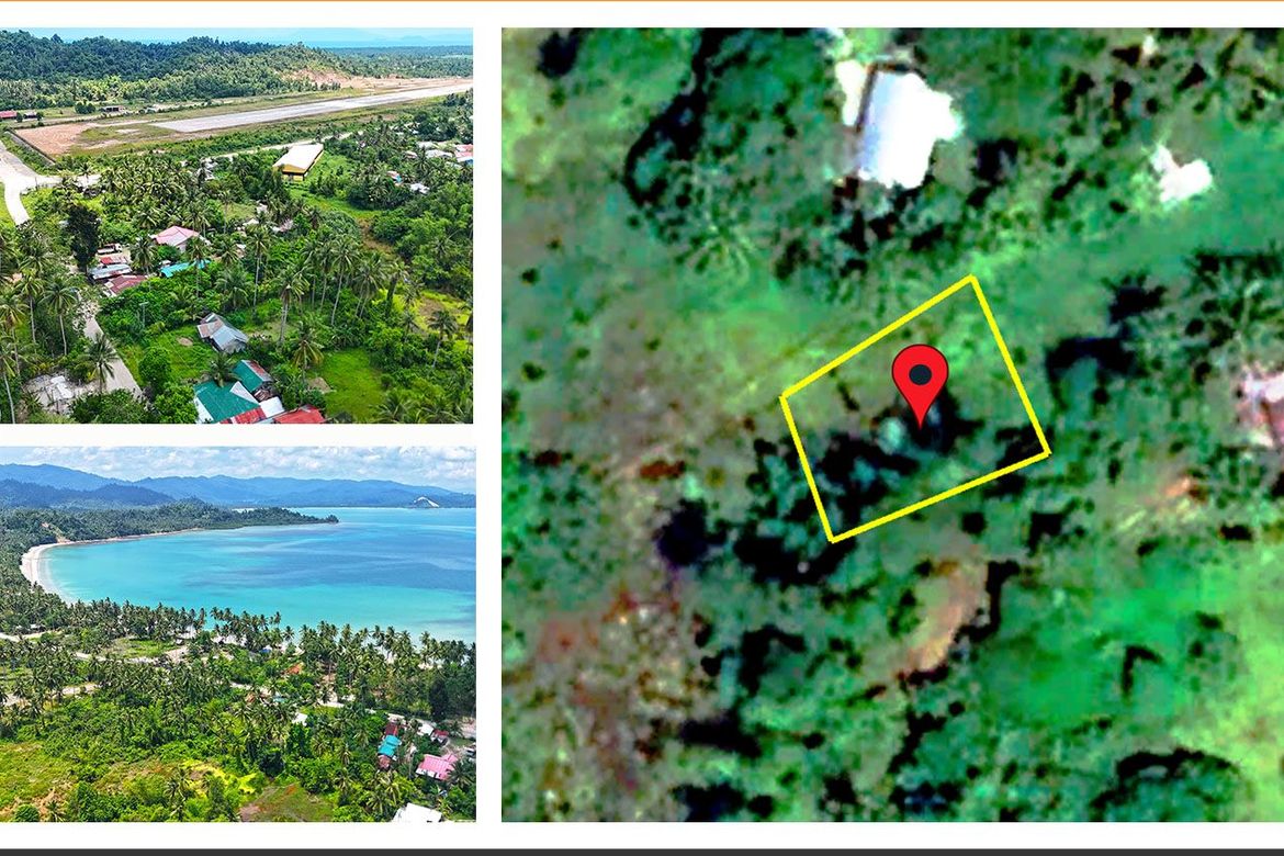 Land for Sale in Poblacion, San Vicente, Palawan