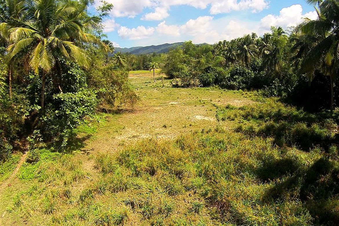 Land for Sale in Poblacion, San Vicente, Palawan – photo 6