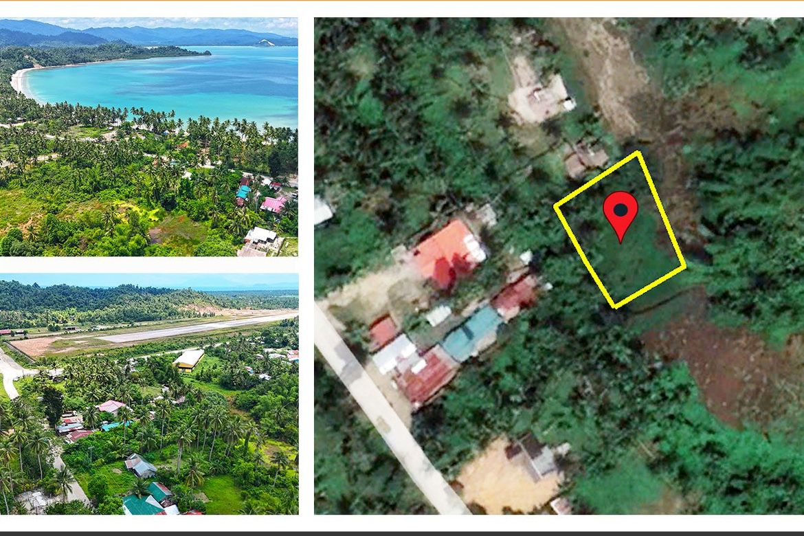Land for Sale in Poblacion, San Vicente, Palawan