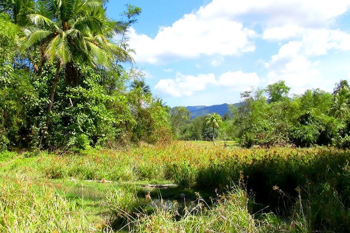 Land for Sale in Poblacion, San Vicente, Palawan – photo 7