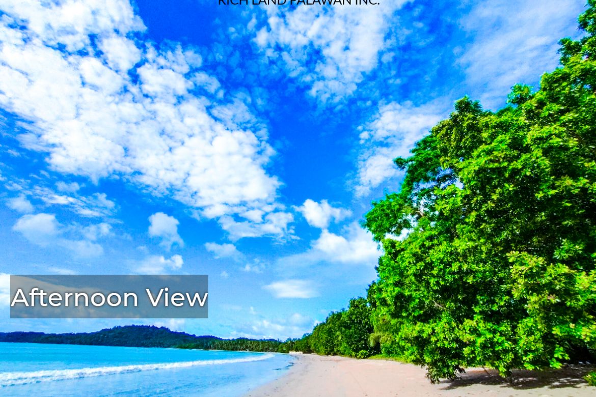 Land for Sale in Poblacion, San Vicente, Palawan – photo 2