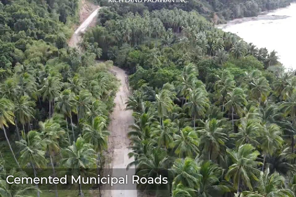 Land for Sale in Poblacion, San Vicente, Palawan – photo 7