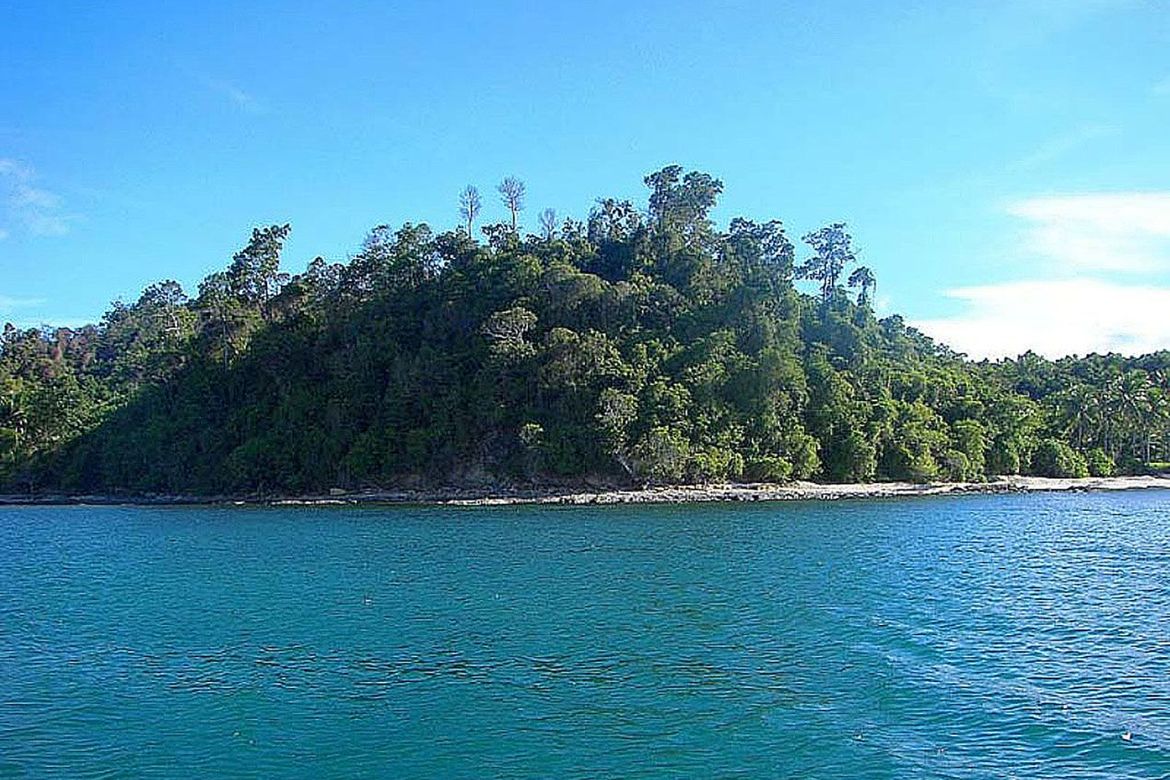 Land for Sale in Poblacion, San Vicente, Palawan – photo 2