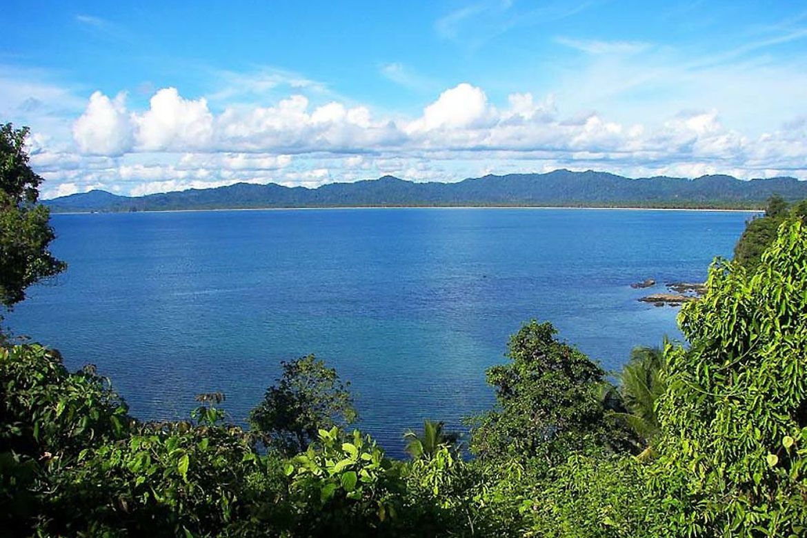 Land for Sale in Poblacion, San Vicente, Palawan – photo 4