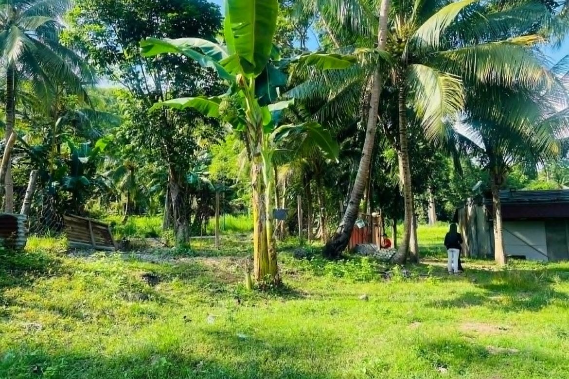 Land for Sale in Poblacion, Sibonga, Cebu