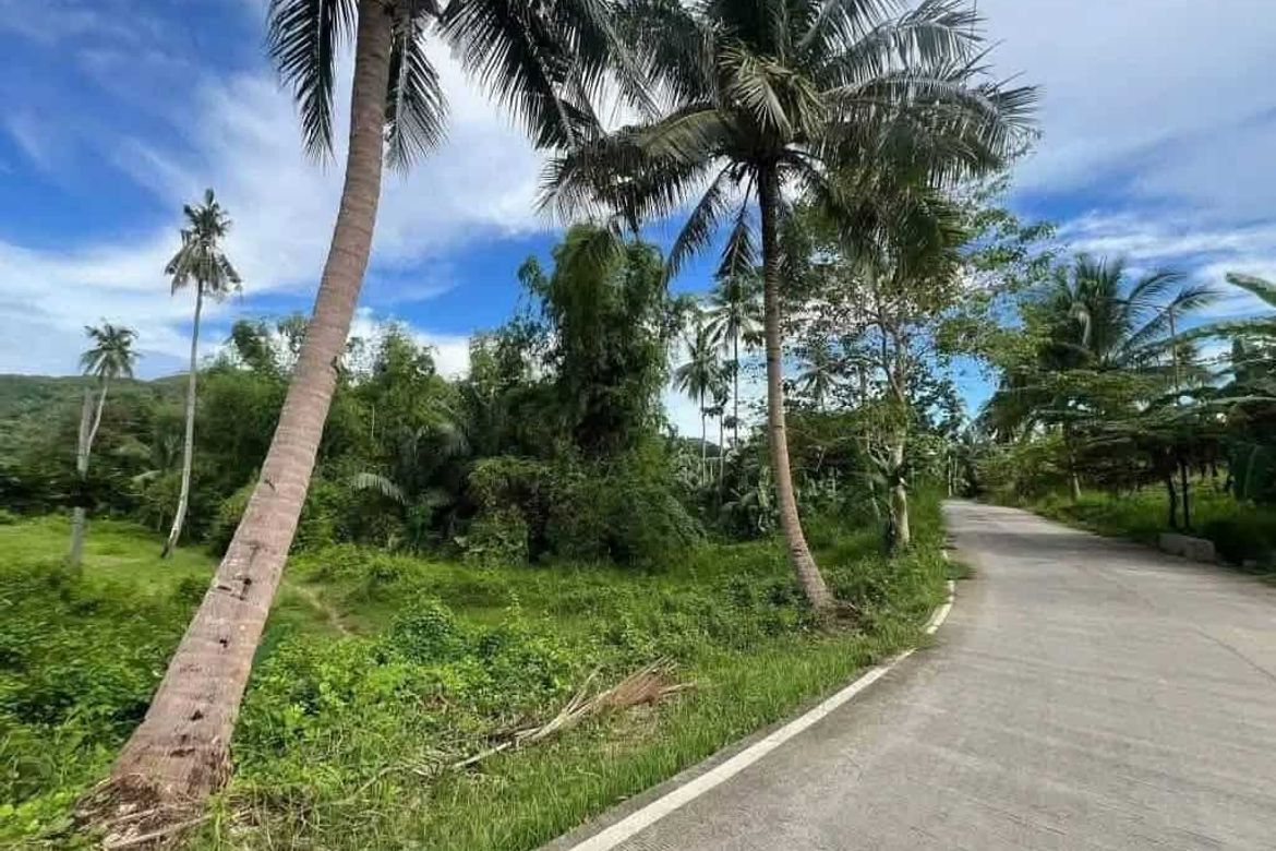 Land for Sale in Poblacion, Sibonga, Cebu – photo 8