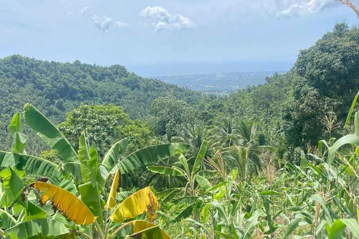 Land for Sale in Poblacion, Sibulan, Negros Oriental – photo 4