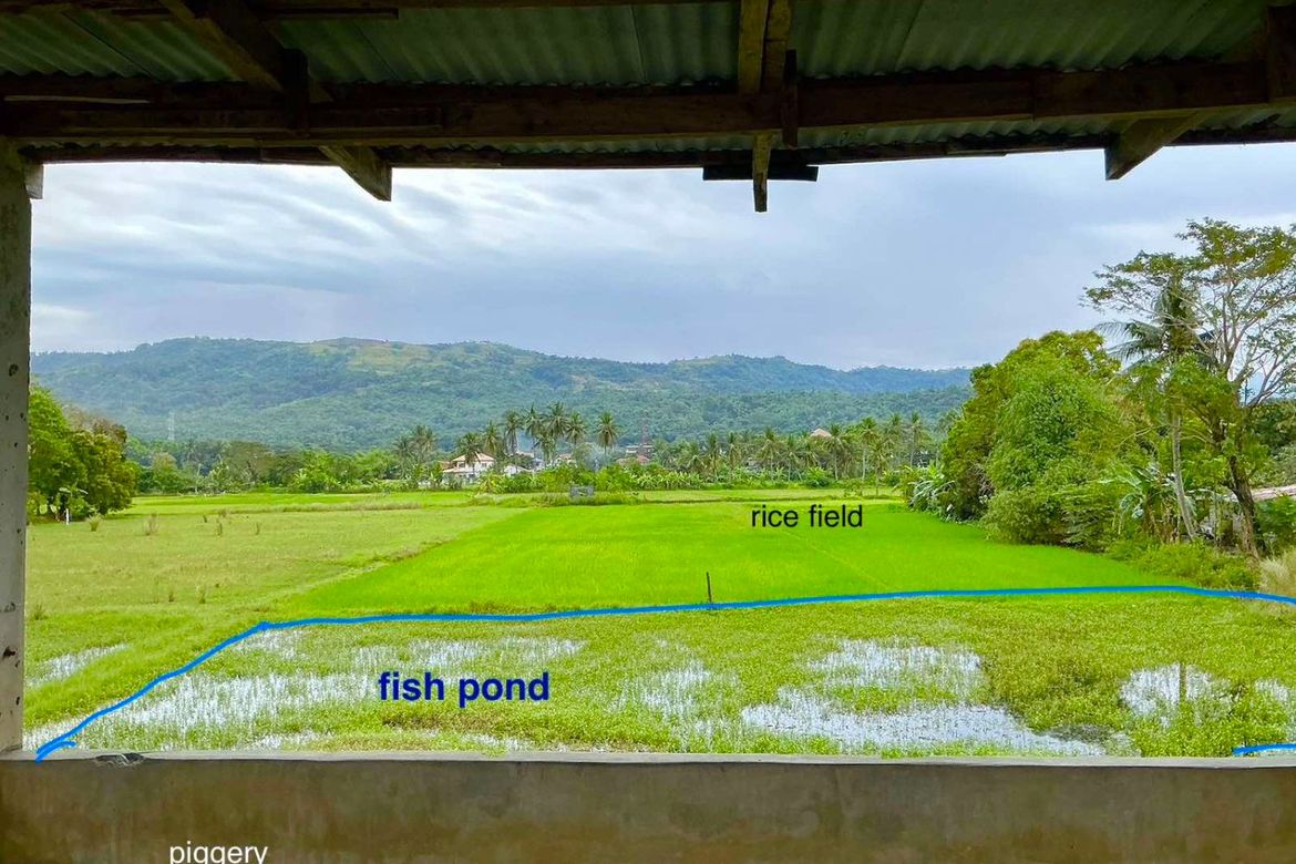 Land for Sale in Poblacion, Sudipen, La Union – photo 7