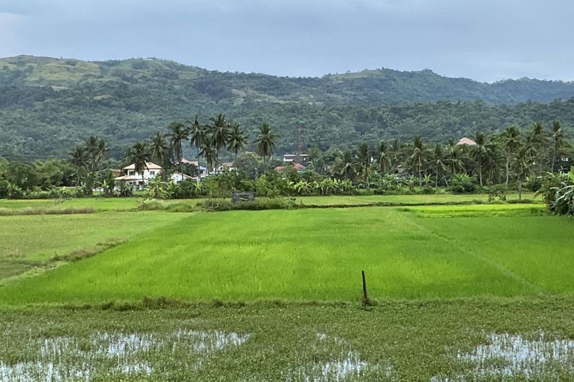Land for Sale in Poblacion, Sudipen, La Union – photo 8