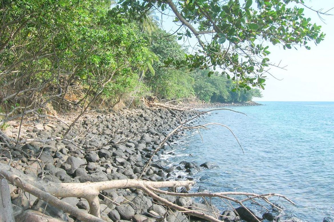 Land for Sale in Poblacion, Sugbongcogon, Misamis Oriental – photo 3