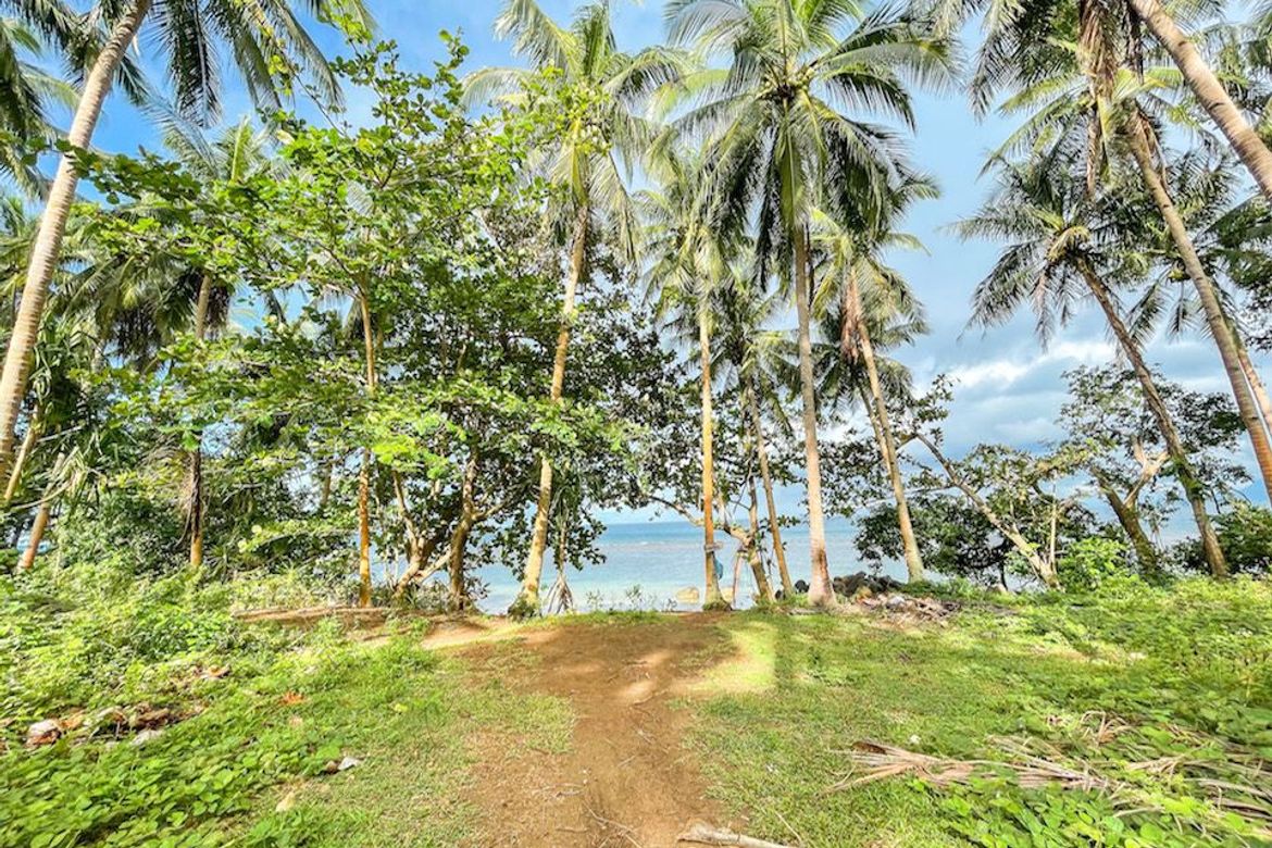 Land for Sale in Poblacion, Sugbongcogon, Misamis Oriental – photo 8