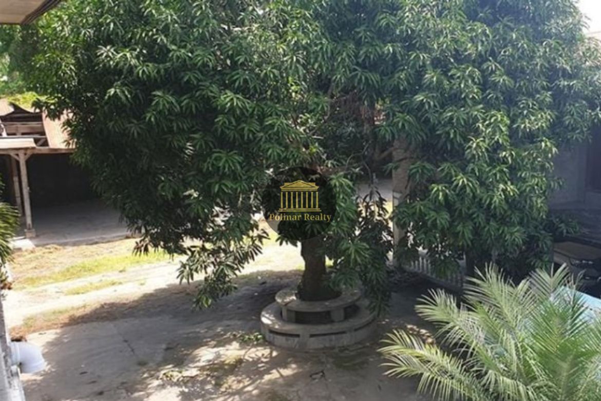 Land for Sale in Poblacion, Tacurong, Sultan Kudarat – photo 5
