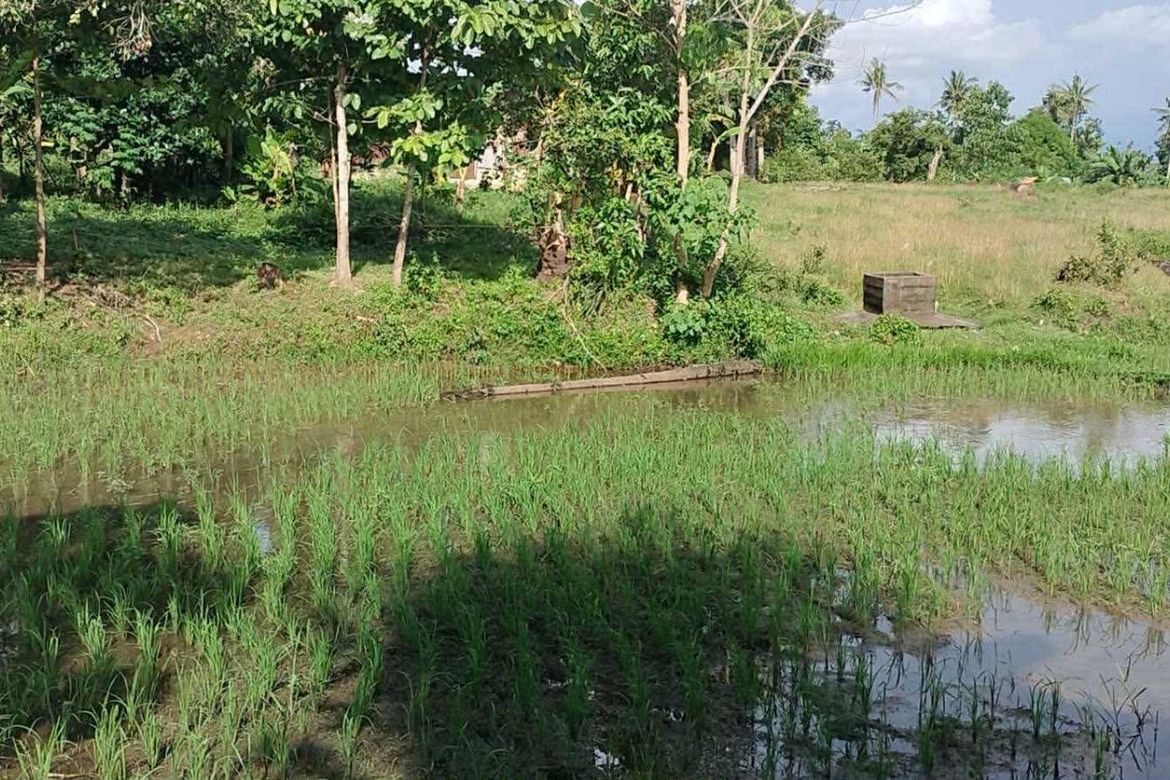 Land for Sale in Poblacion, Talibon, Bohol – photo 4
