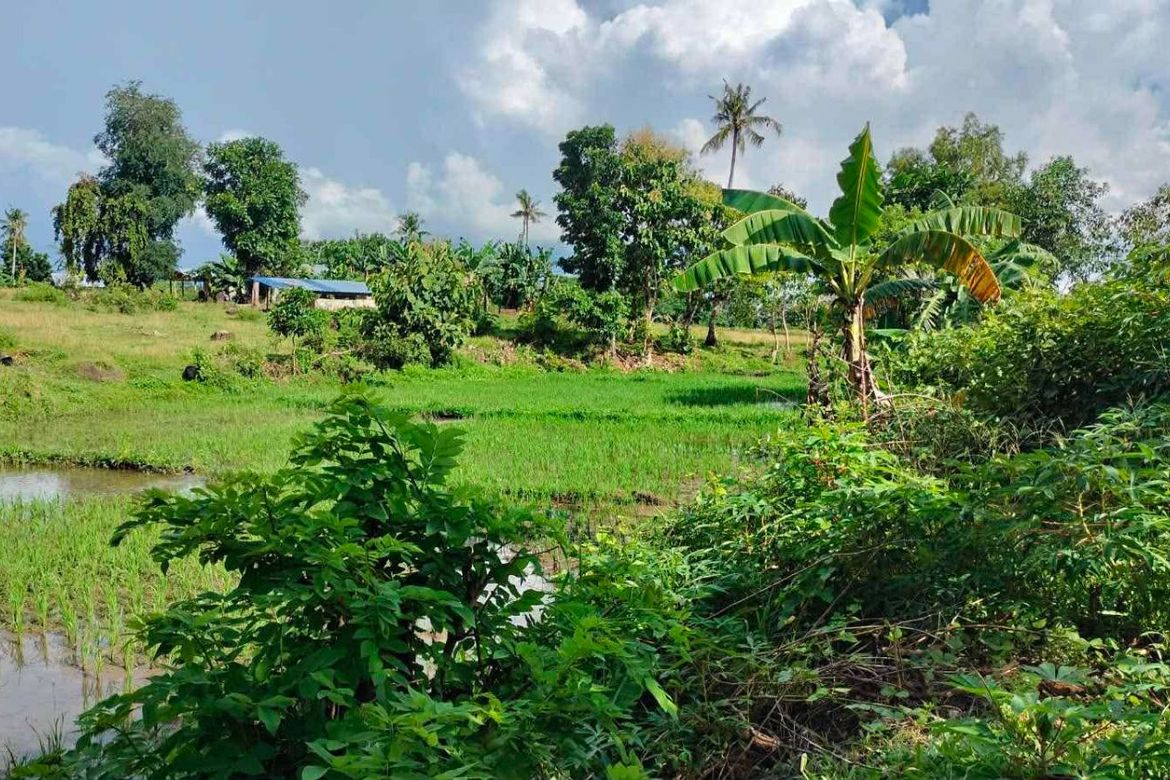 Land for Sale in Poblacion, Talibon, Bohol – photo 7