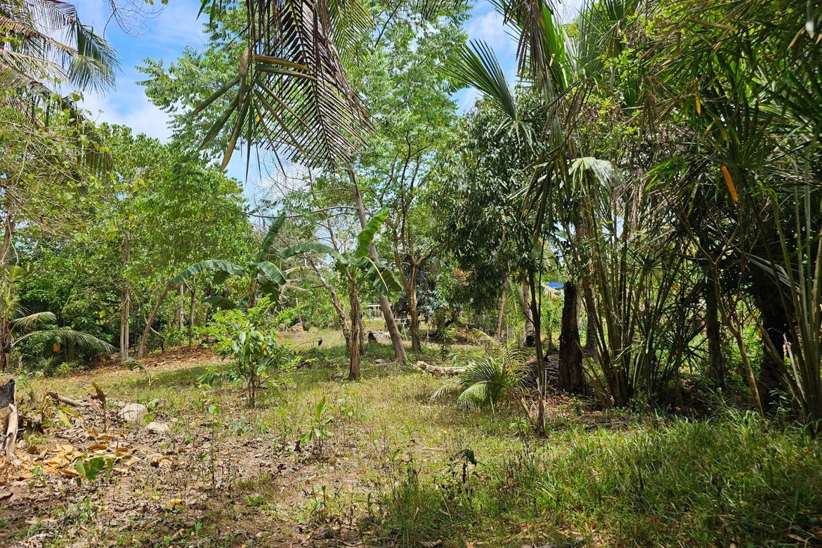 Land for Sale in Poblacion, Talibon, Bohol – photo 5