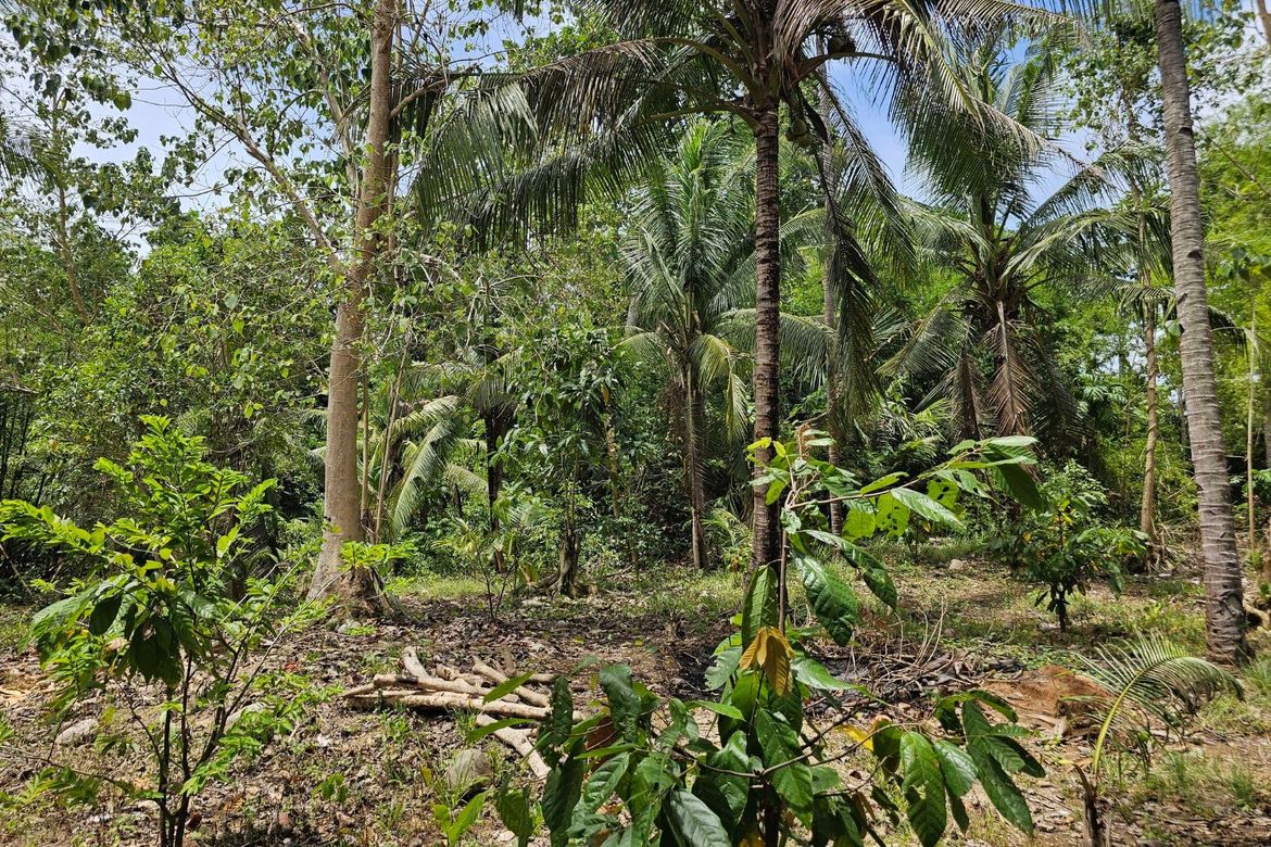 Land for Sale in Poblacion, Talibon, Bohol – photo 6