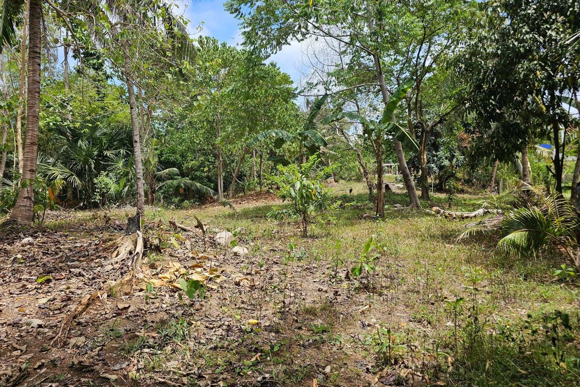 Land for Sale in Poblacion, Talibon, Bohol – photo 7