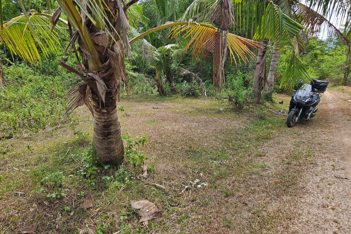 Land for Sale in Poblacion, Talibon, Bohol