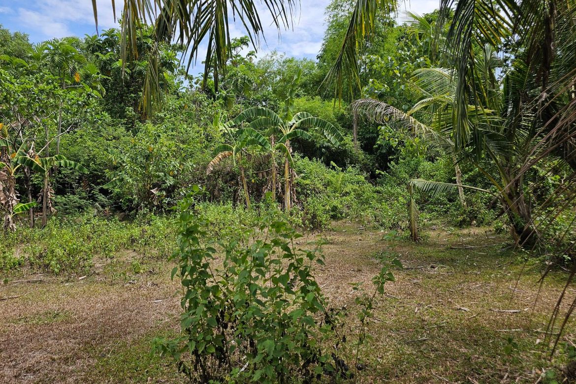 Land for Sale in Poblacion, Talibon, Bohol – photo 3