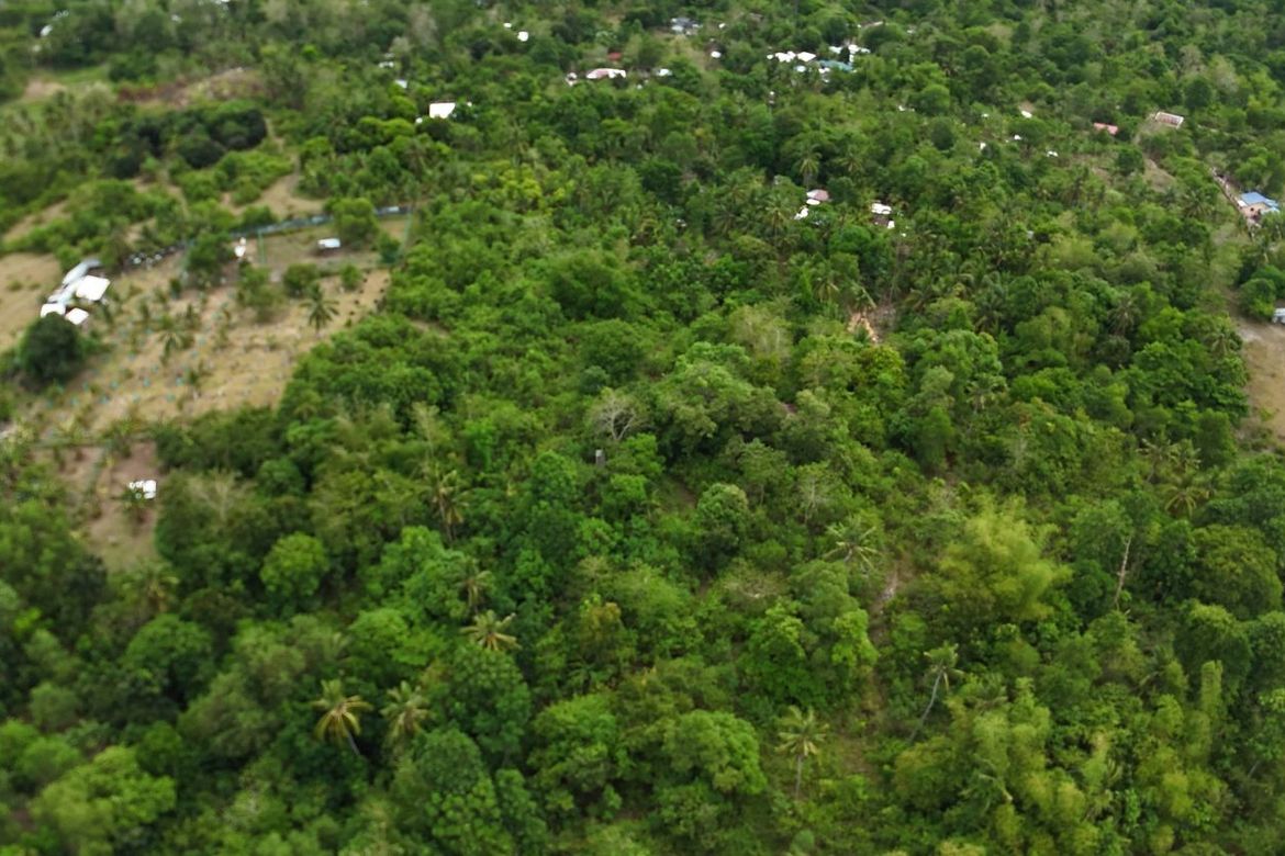 Land for Sale in Poblacion, Talibon, Bohol – photo 5