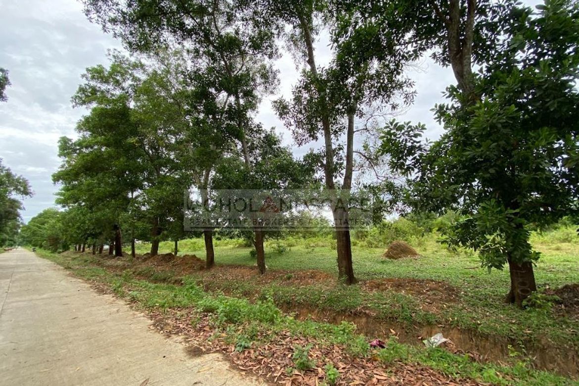 Land for Sale in Poblacion, Talibon, Bohol