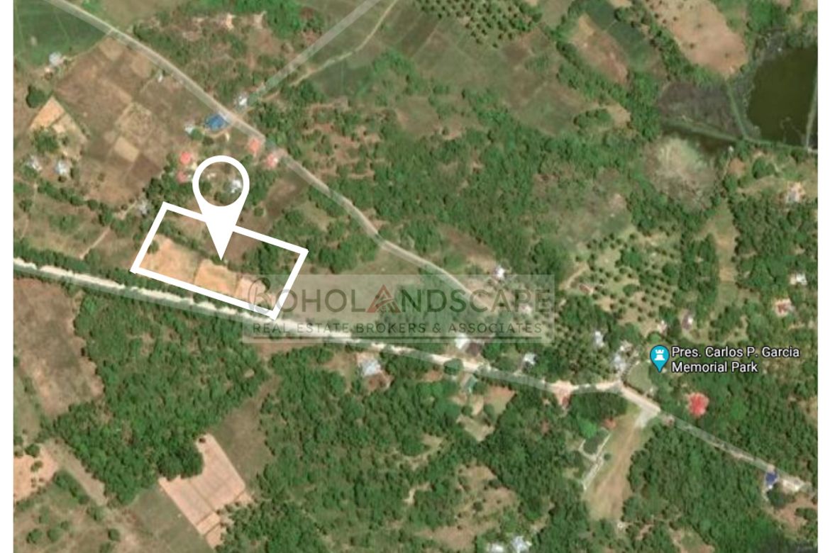 Land for Sale in Poblacion, Talibon, Bohol – photo 2