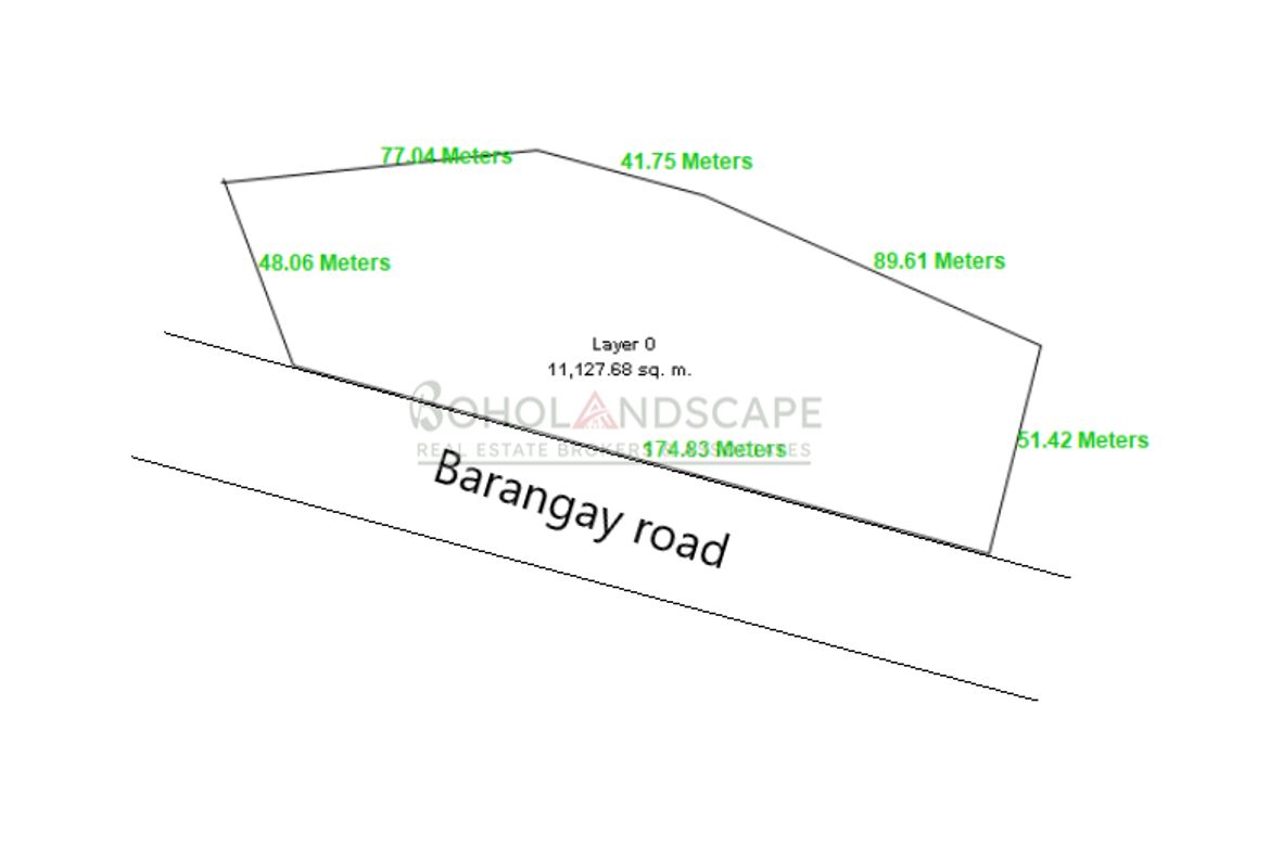 Land for Sale in Poblacion, Talibon, Bohol – photo 6