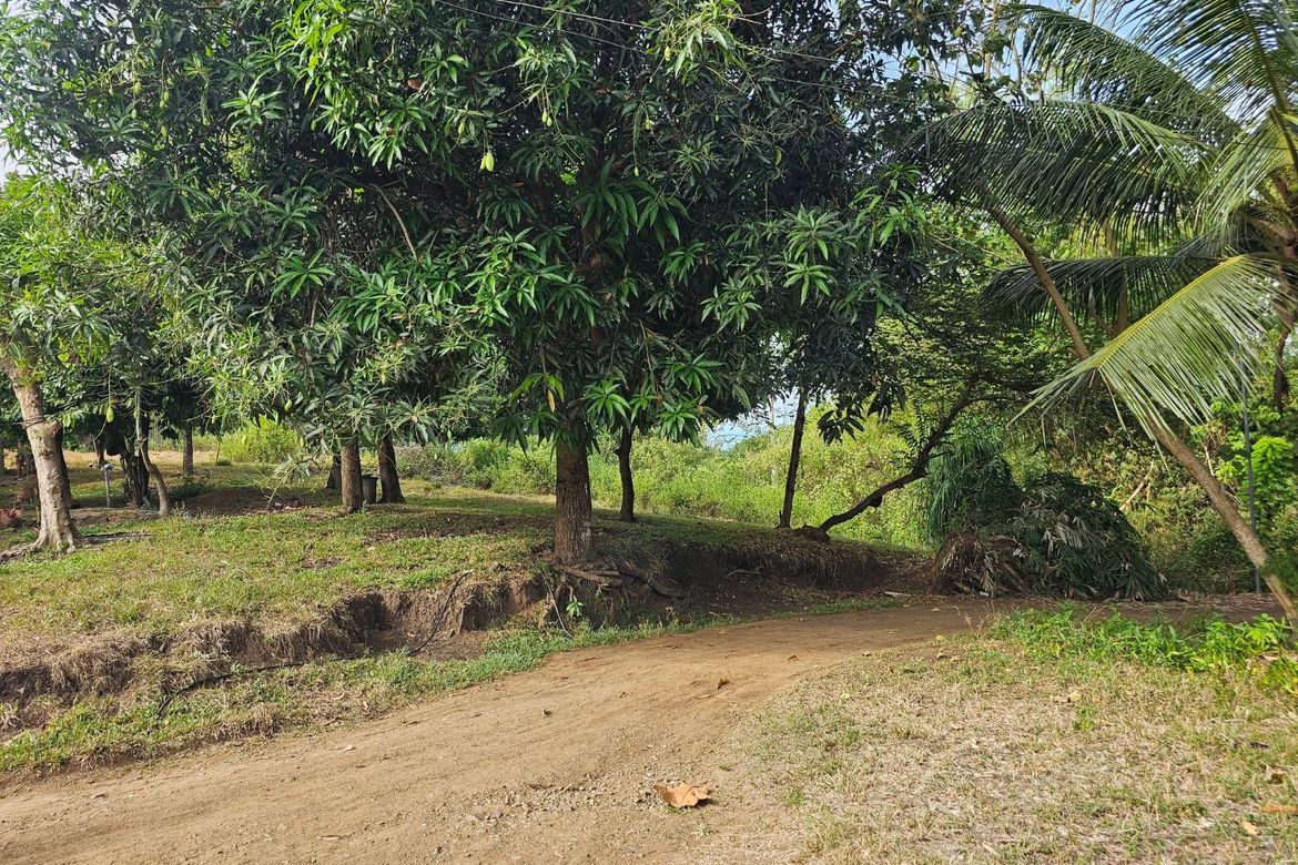 Land for Sale in Poblacion, Talibon, Bohol