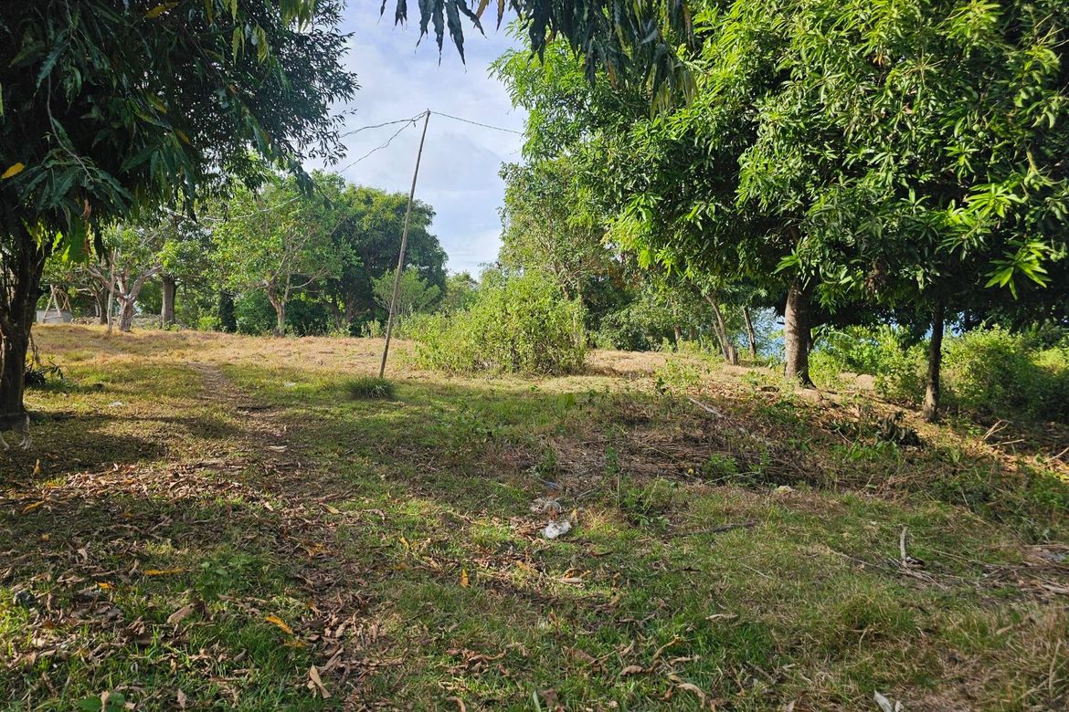 Land for Sale in Poblacion, Talibon, Bohol – photo 2