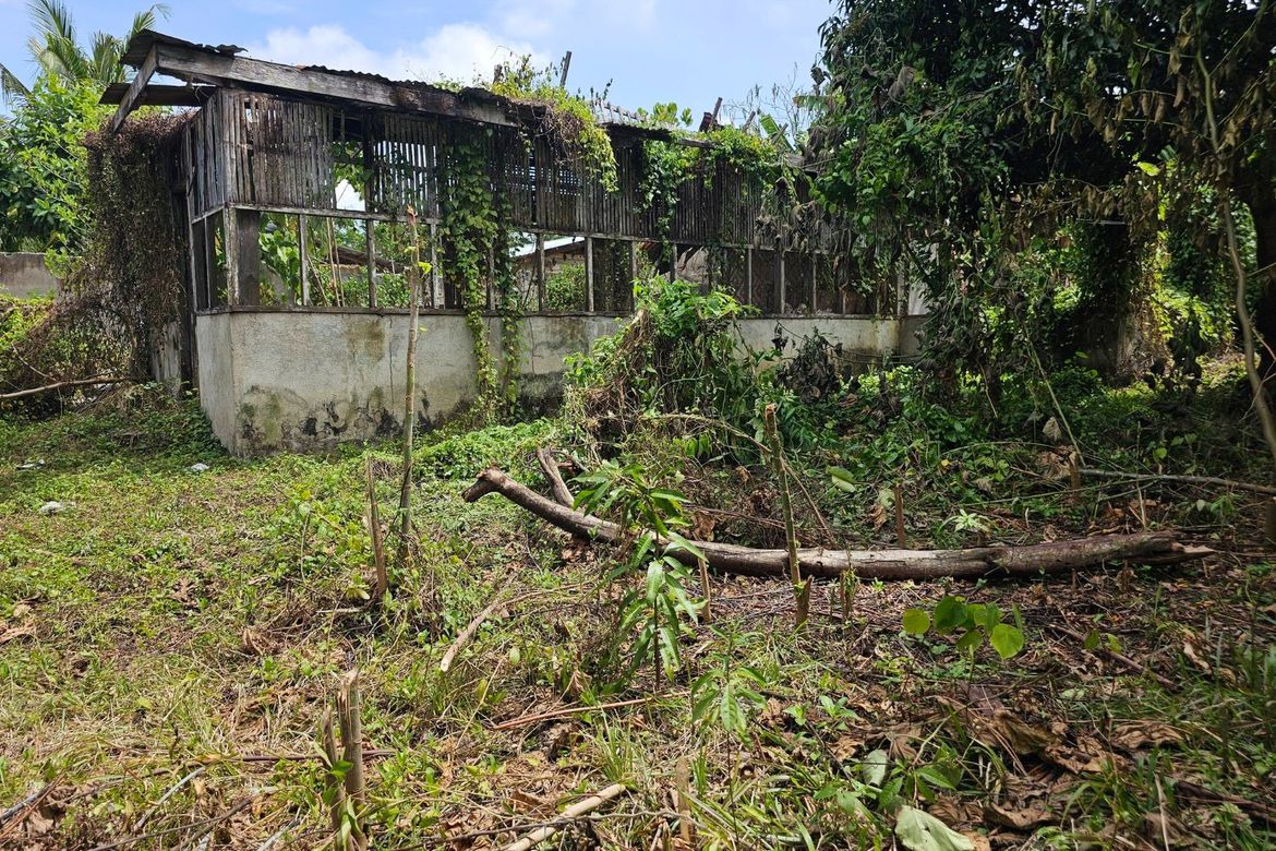 Land for Sale in Poblacion, Talibon, Bohol – photo 4