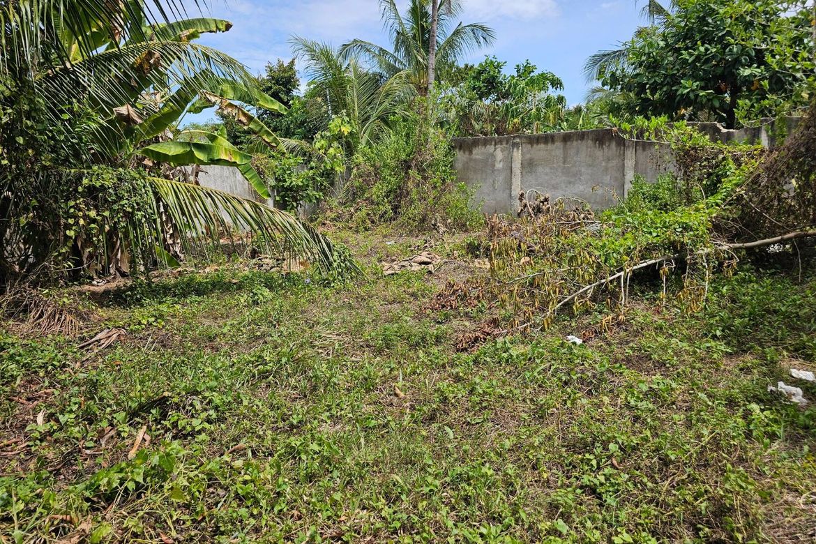 Land for Sale in Poblacion, Talibon, Bohol – photo 6