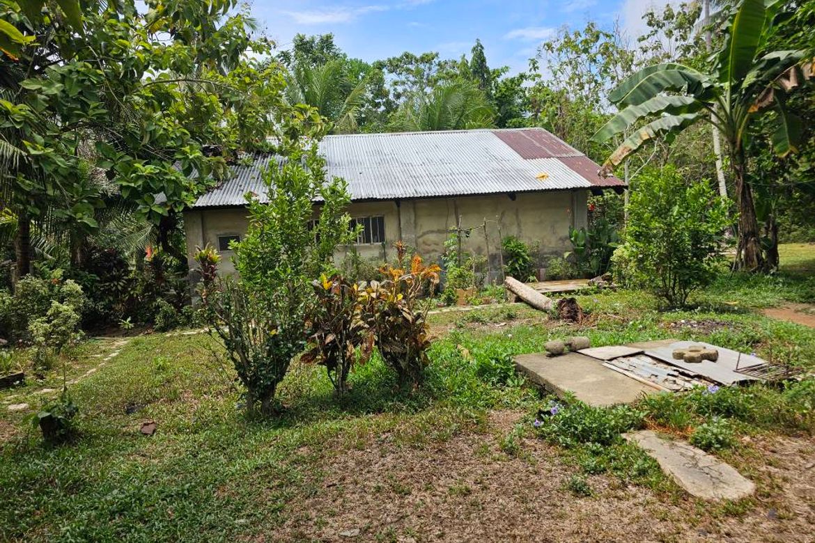 Land for Sale in Poblacion, Talibon, Bohol