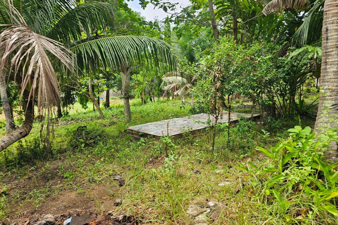Land for Sale in Poblacion, Talibon, Bohol – photo 2
