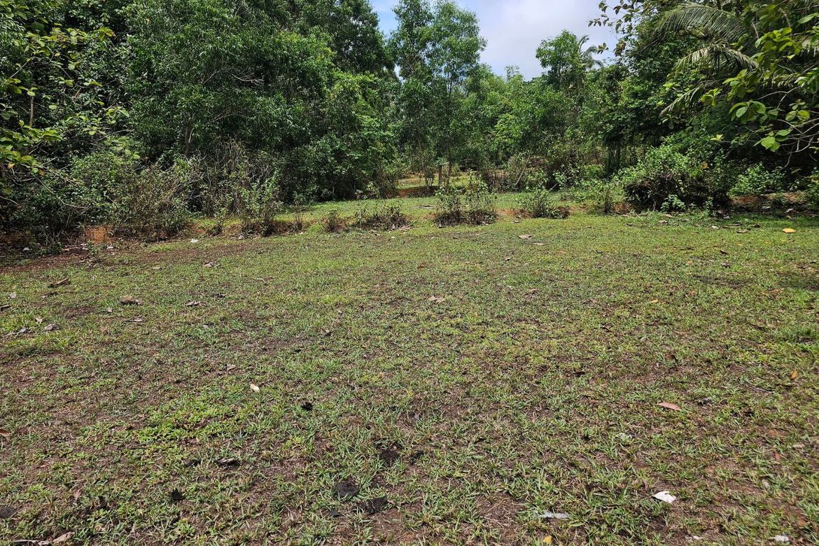 Land for Sale in Poblacion, Talibon, Bohol – photo 6