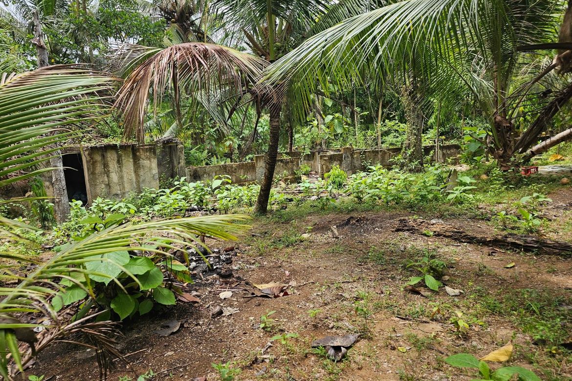 Land for Sale in Poblacion, Talibon, Bohol – photo 8