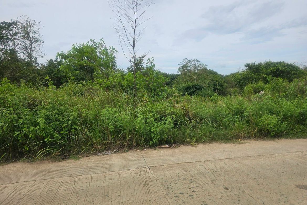 Land for Sale in Poblacion, Trinidad, Bohol – photo 2