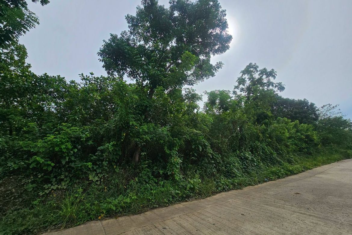 Land for Sale in Poblacion, Trinidad, Bohol – photo 3