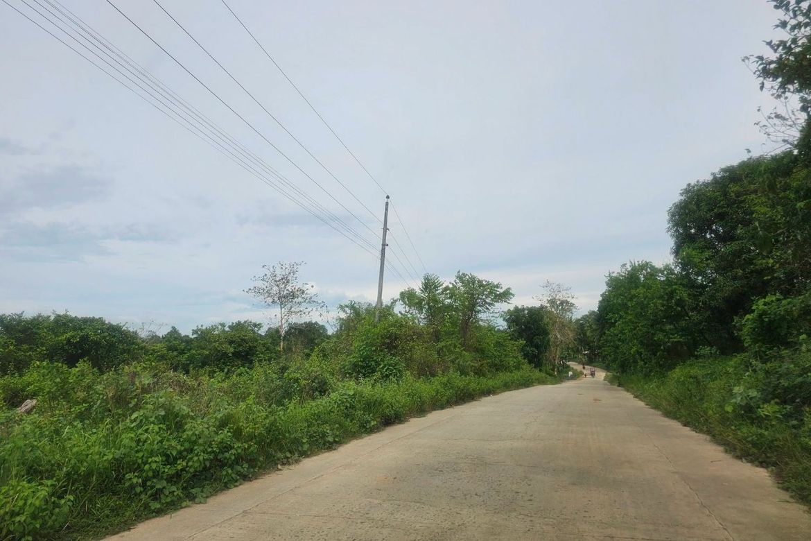 Land for Sale in Poblacion, Trinidad, Bohol – photo 6